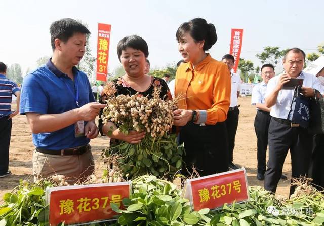 【大事件】全国花生专家齐聚中国花生之都,共谋花生产业大发展!