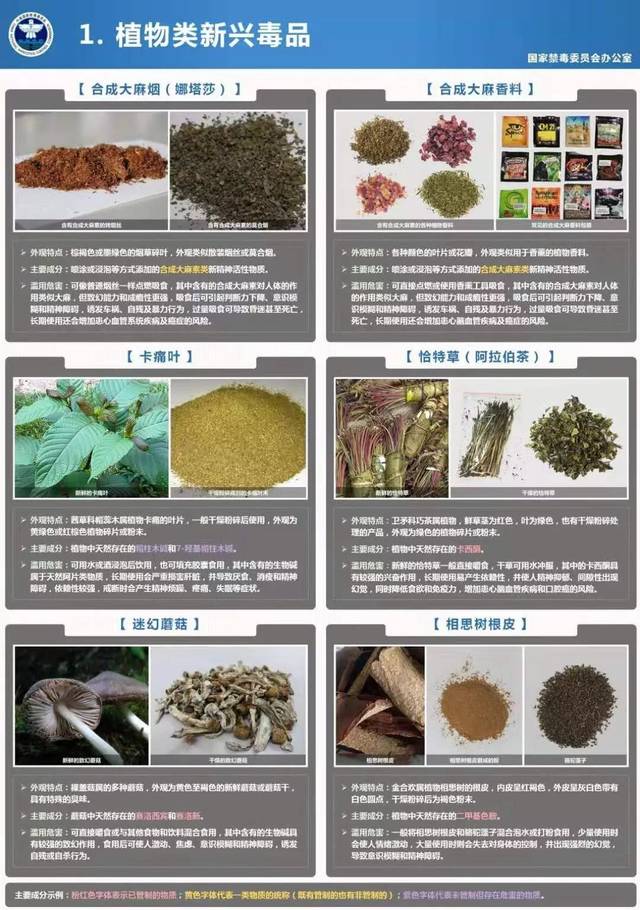 多名男女酒店开房喝"奶茶"被抓,新型毒品太可怕!