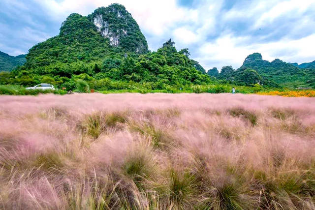 网红拍照地打卡"粉黛乱子草 英西峰林"小桂林 田园风光行走一天游