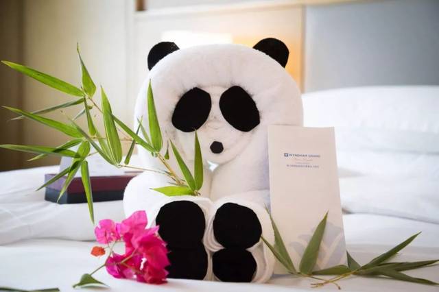 客房欢迎礼:客房服务人员用毛巾折的"熊猫"