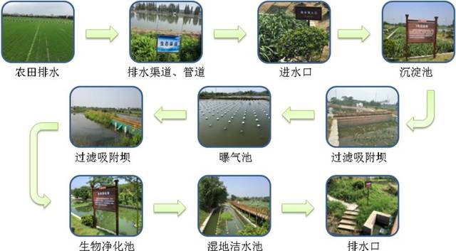 生物净化池,湿地洁水池等多处有利于提升沟渠和承泄区净化能力,生态