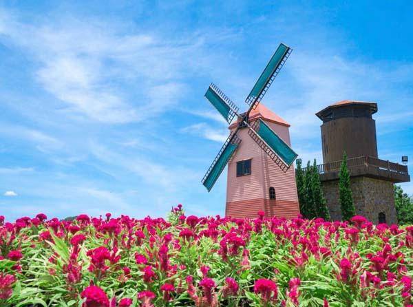 芭提雅一日游去哪玩好呢?推荐一天内可以购物