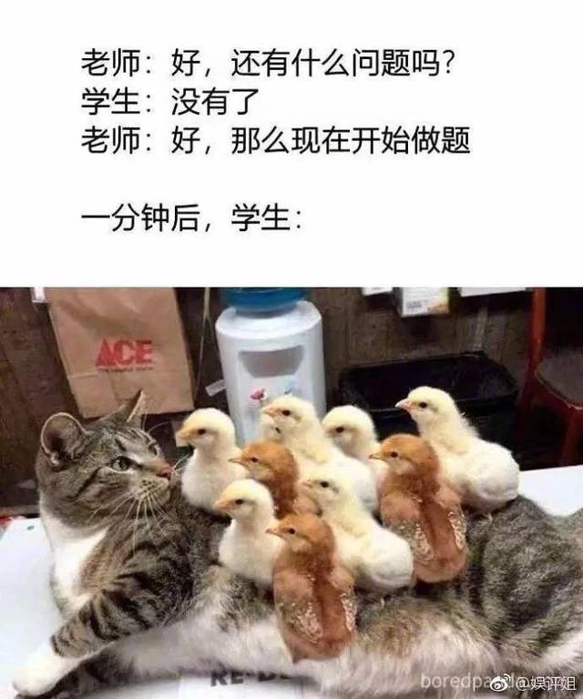 沙雕时间|如何暗示朋友被绿了