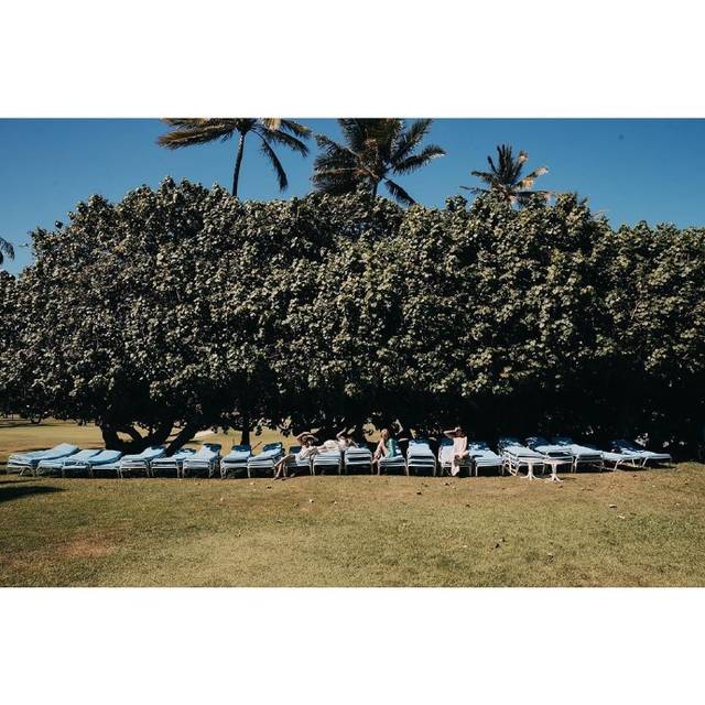 blackpink"夏威夷的夏天"写真集公开"美不胜收"