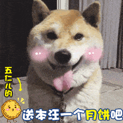 关于月饼的斗图表情包动图21张|请我吃月饼,我就做你男朋友