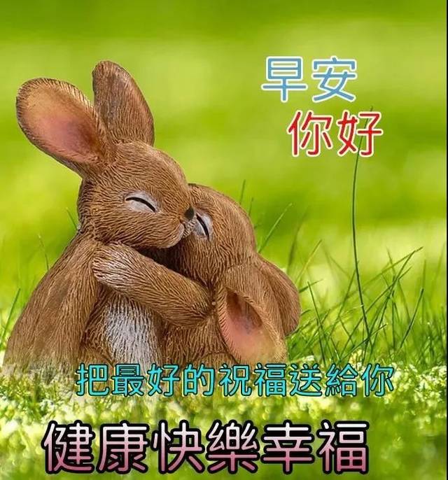 早上好动态美图鲜花带字,早晨好幸福暖心的问候表情图片