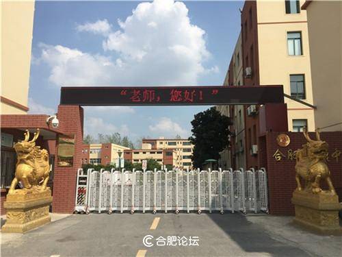 合肥新康中学党支部专职副书记陈晓永,合肥新康中学高中部校长胡文波