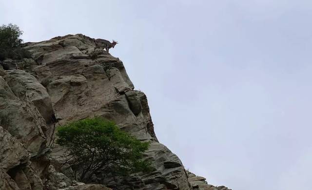 贺兰山为什么叫鬼山?