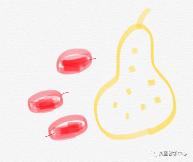 想去留学,是去英国还是美国呢?