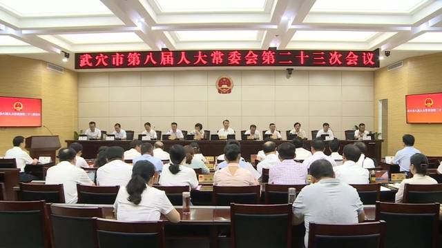 【人事】陈风任武穴市人民政府副市长,代理市长_手机搜狐网