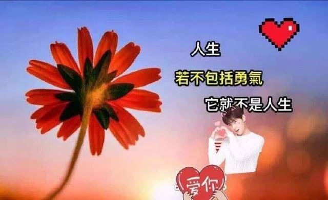 微信群早上问候大家的暖心句子,早晨好漂亮的祝福美图