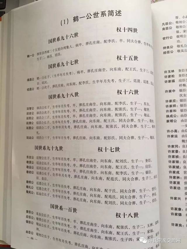 族谱世系图的六种基本格式学习族谱知识(九)