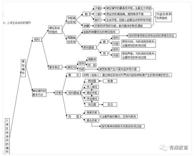 2020中考生必看:初中生物思维导图解析大全