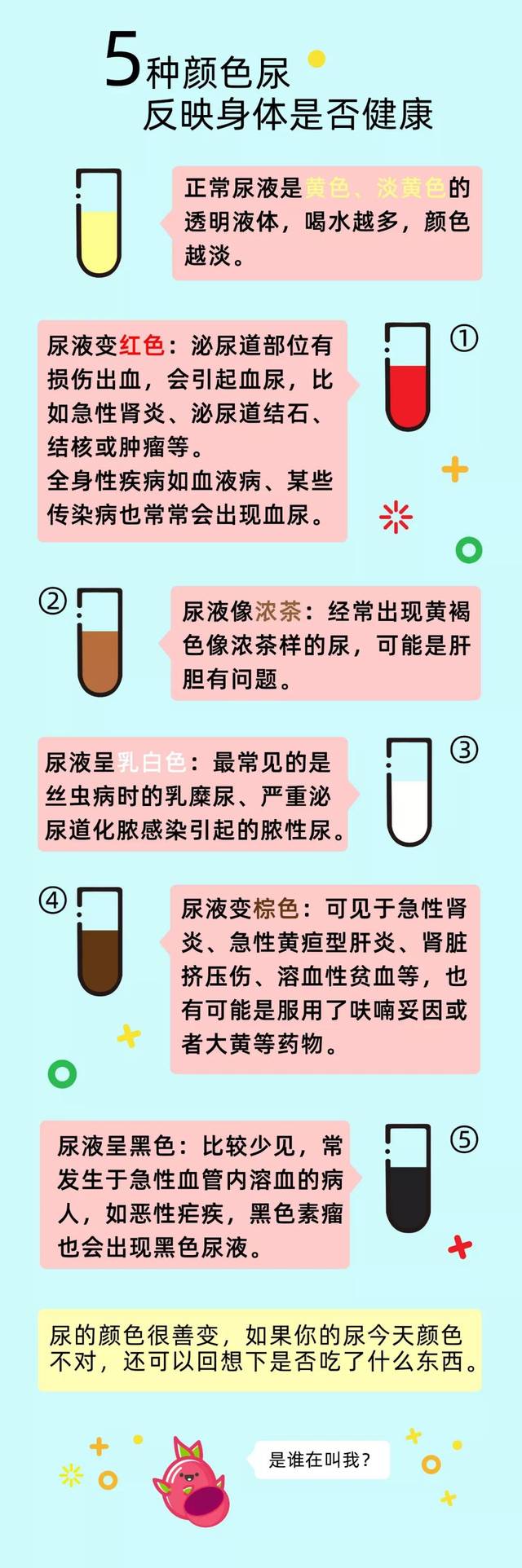 正常人一天能排出1~2升尿液,今天,小脉教你通过辨别尿液的颜色和气味