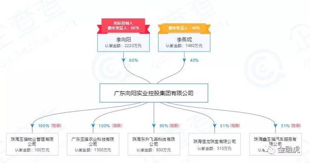 新玉猫国际平台涉嫌非法集资:法人及股东2人潜逃境外