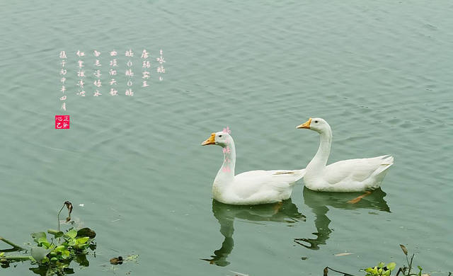 ab5b6f55ce874904a61b351190db001c.jpeg