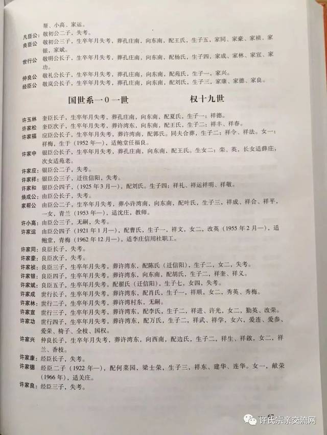 族谱世系图的六种基本格式学习族谱知识(九)