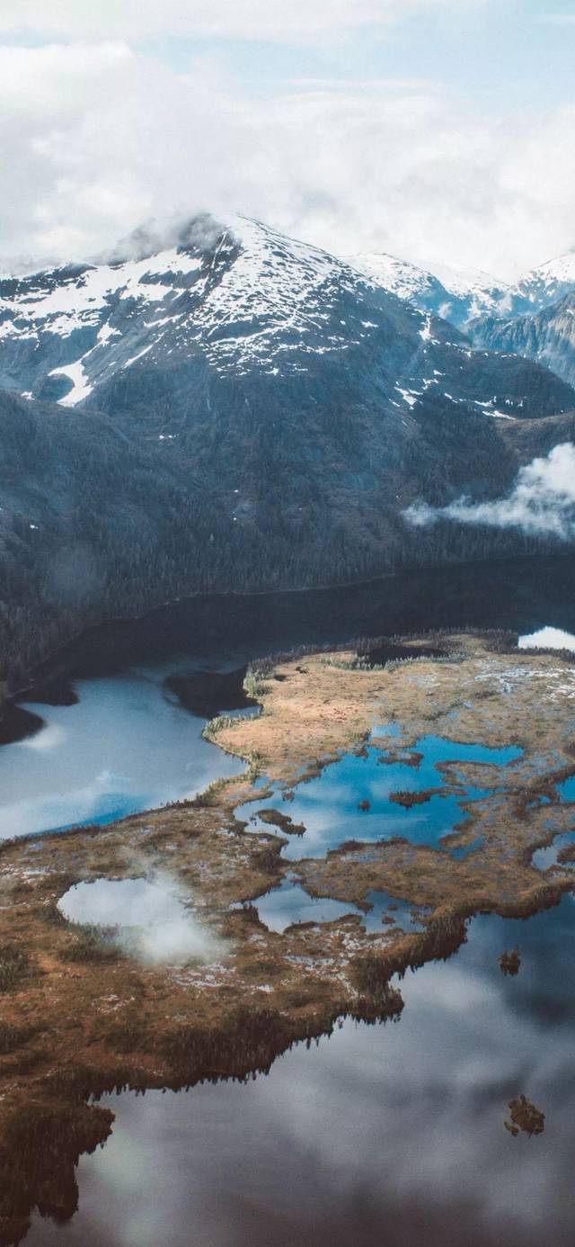 壁纸丨虽然没钱买 iPhone 11,但新款壁纸要整上