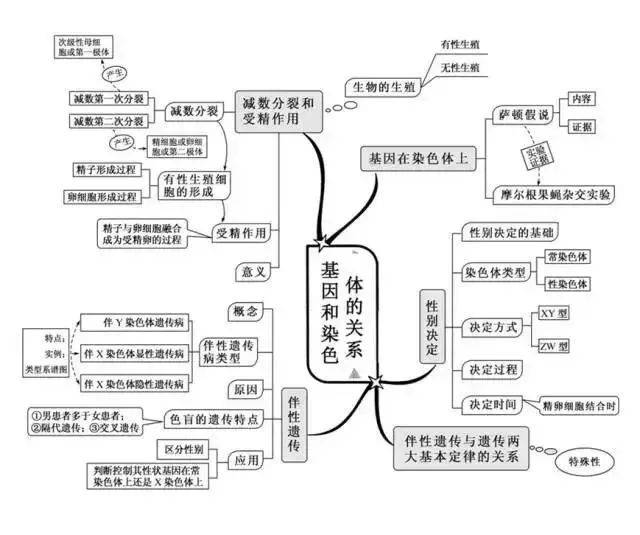 【收藏】高中生物思维导图全集合!