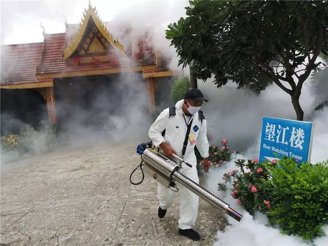 凝聚合力 遏制登革热疫情流行蔓延趋势——景洪市孔雀