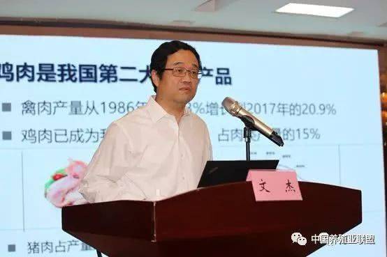 中国农业科学院北京畜牧兽医研究所研究员文杰从中国肉鸡产业发展现状