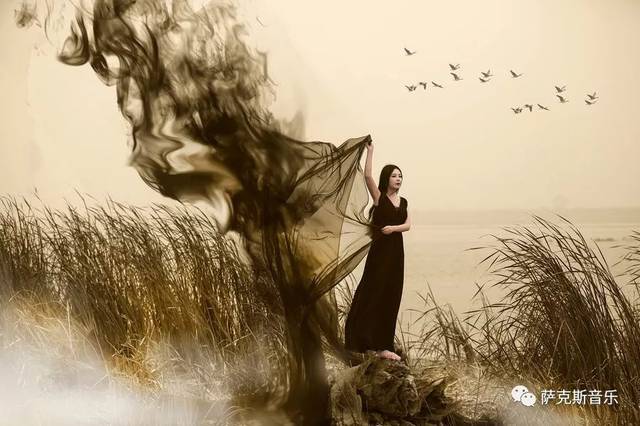 【多情总为无情伤】于千慧经典歌曲(深情