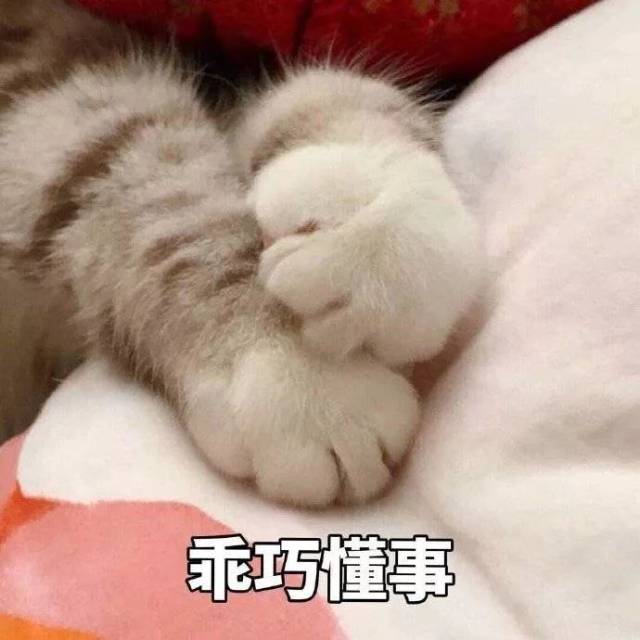 沙雕表情包 | 假如我年少不自卑 妹妹肯定一大堆