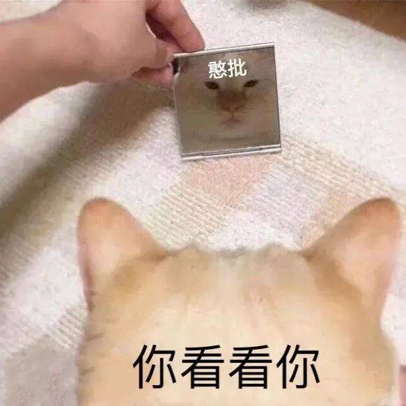 沙雕表情包 | 假如我年少不自卑 妹妹肯定一大堆