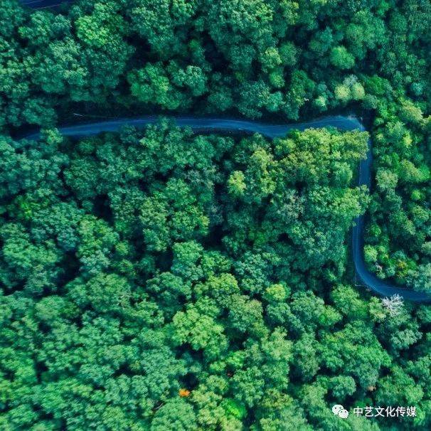 播音主持必练骨灰级绕口令, 不来试下吗?