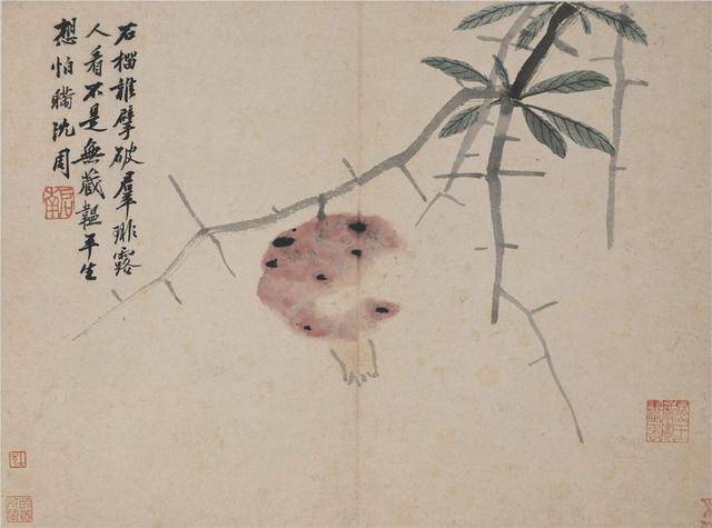 沈周《卧游图册》,赏传世墨迹,读古代文人雅趣