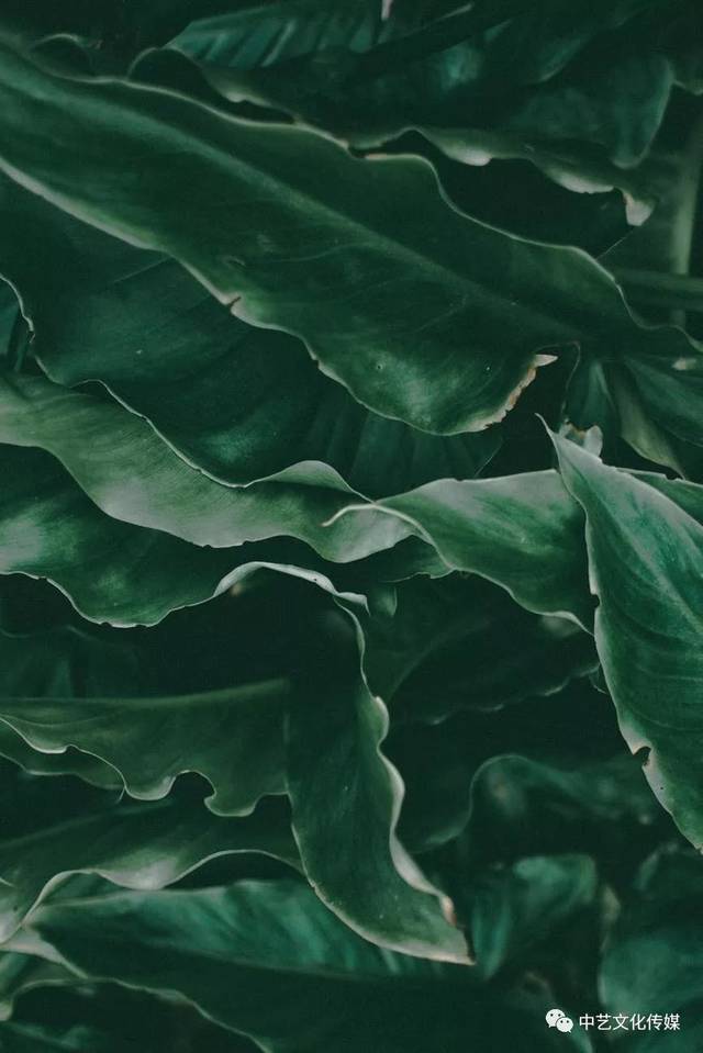 播音主持必练骨灰级绕口令, 不来试下吗?