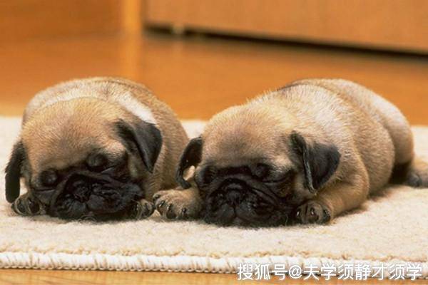 内涵段子:老家表哥到学校找我,午饭我带他吃西