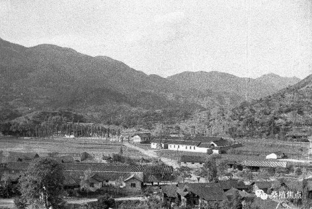 1986年,桑植县图书馆新馆外景.