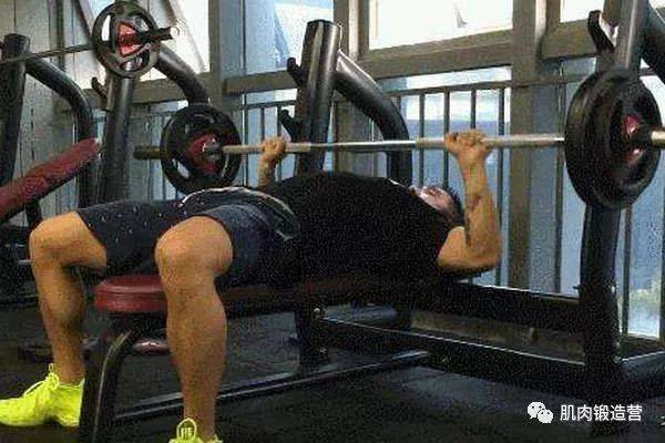 练胸黄金动作,不管男女,都能练出一个完美胸部