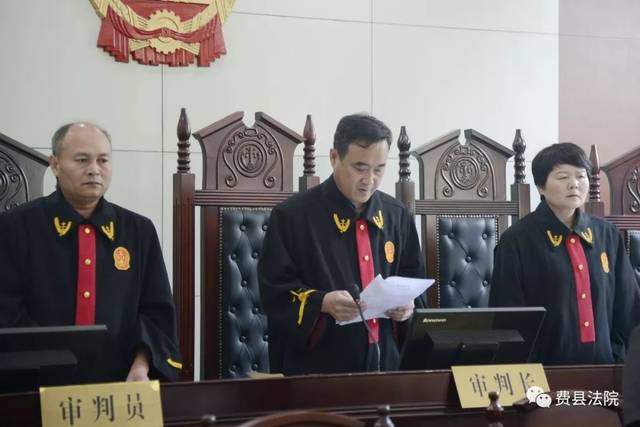 临沂费县法院公开宣判一起涉恶犯罪案件