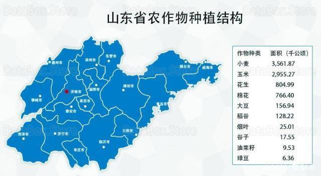 山东省区县级农作物面积及产量统计数据