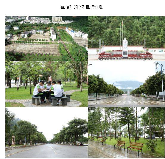 镇康县第一中学做好六篇文章高位推动"六大校园"建设