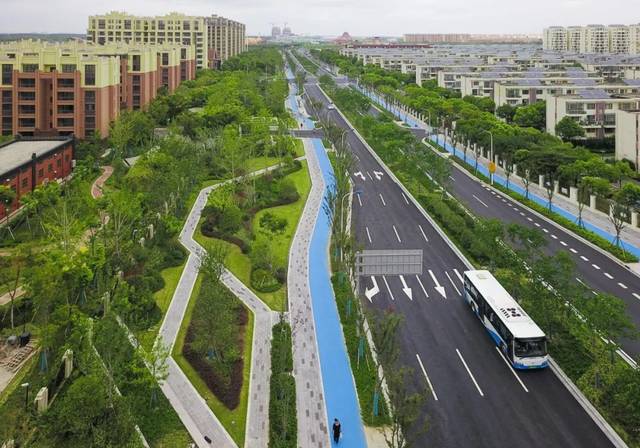 【居行】赞!临港首条景观提升示范道路"茉莉路"开通,来看