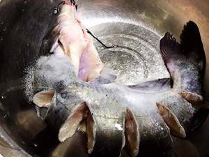 自制跳水鱼,做法简单易学,鱼肉口感细腻,椒香微