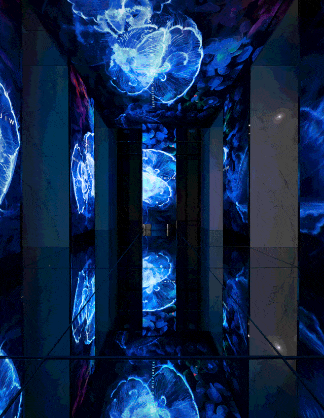such dynamic visual impressions are extended to the art