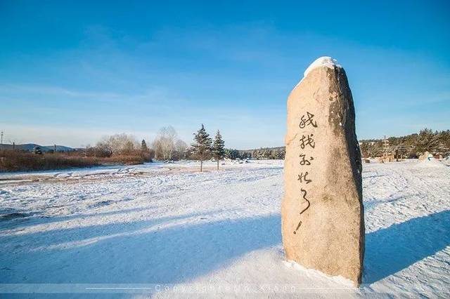 漠河下雪啦!你的秋裤准备好了吗?