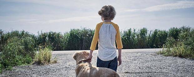 又一本史蒂芬金小说改成了恐怖电影