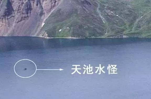 专家称三峡水怪是塑料袋?全球著名的6大水怪景区都是塑料袋?