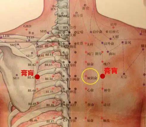 打开膏肓穴,百病都难藏