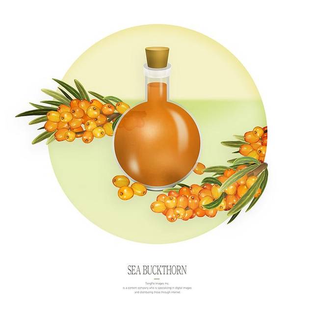 喝沙棘汁的好处你知道吗?_手机搜狐网