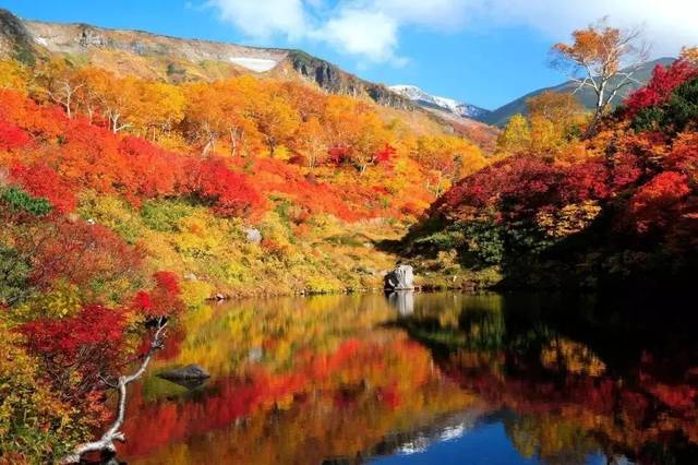 层云峡中蔓延的红叶,给高山,巨石,旷野,村落和行人染上了秋的颜色.