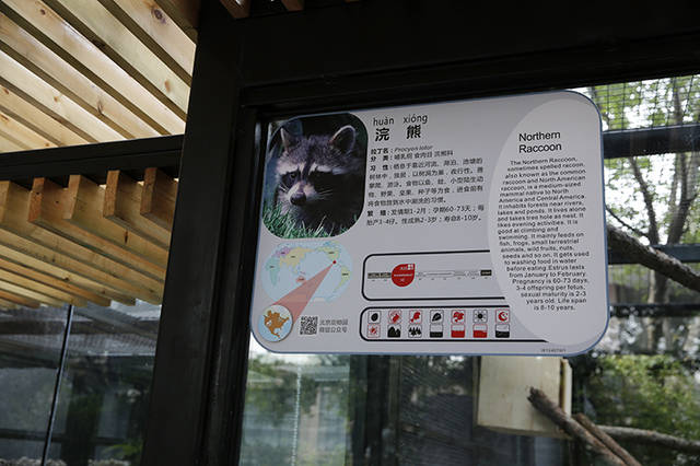 北京动物园小型食肉动物乔迁"新居"