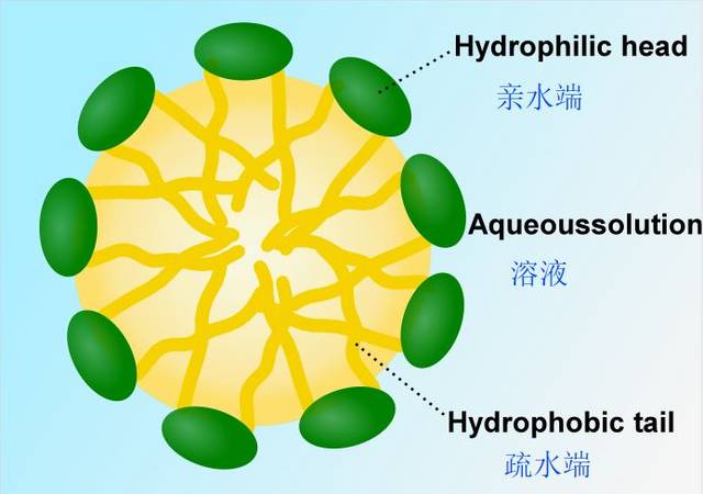 表活分子同时含有亲水基和疏水基,可与油污结合后溶于水中 论及去渍