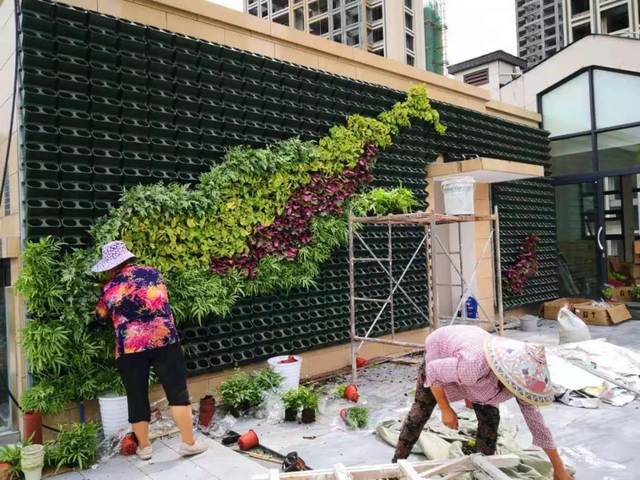 梦园是一家以生产销售垂直绿化种植盒,立体绿化花盆容器,植物墙花盆