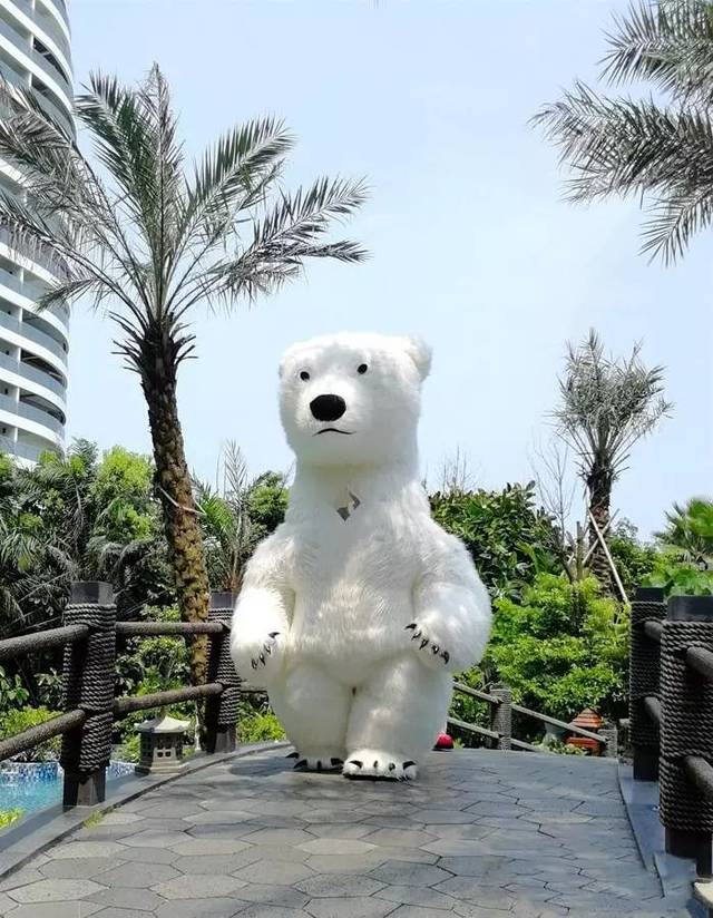 大白熊 变脸 篝火晚会